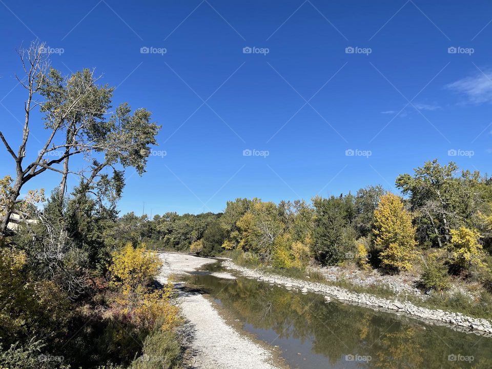Beautiful sunny day with bright a blue sky and fresh creek water and beautiful trees.  
