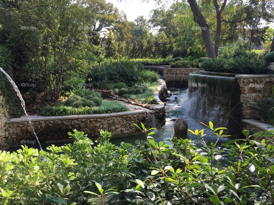 Botannic garden in Dallas