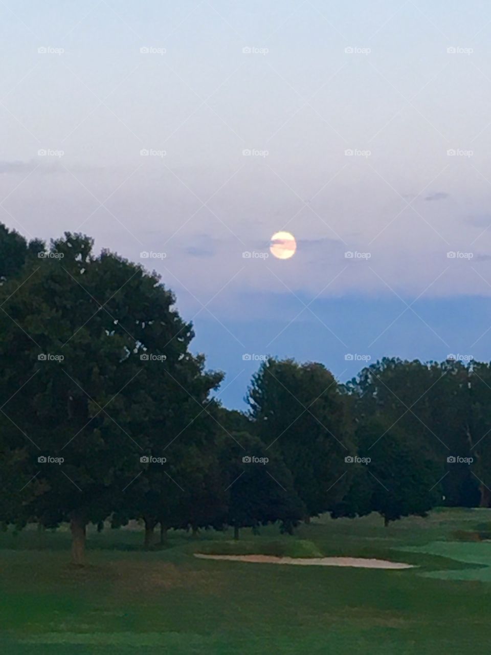 Full moon over the trees