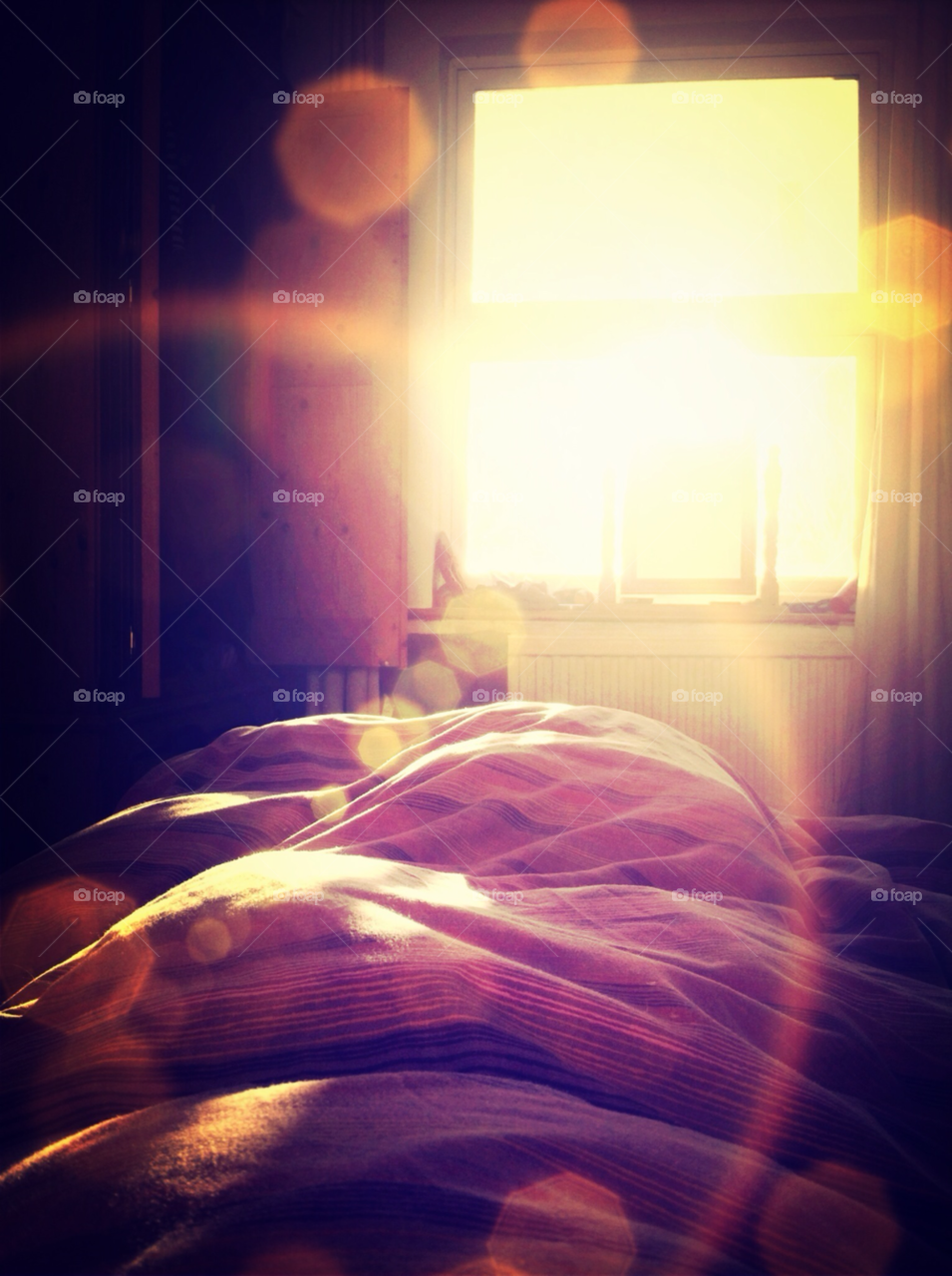 yellow orange sun window by ahilton2007