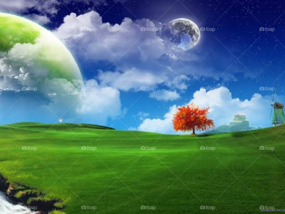 The Beautiful Nature Vibes