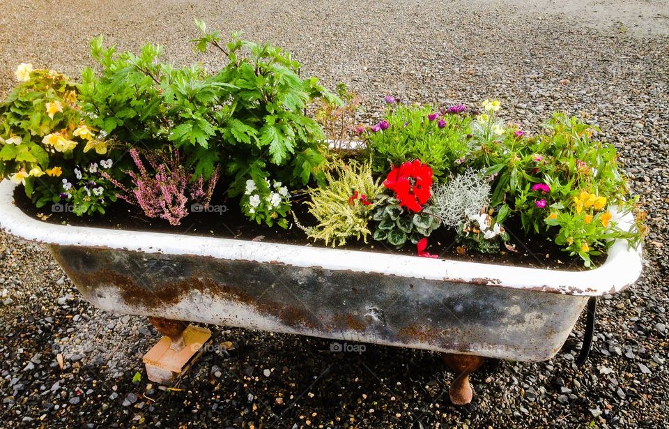 Flower tub