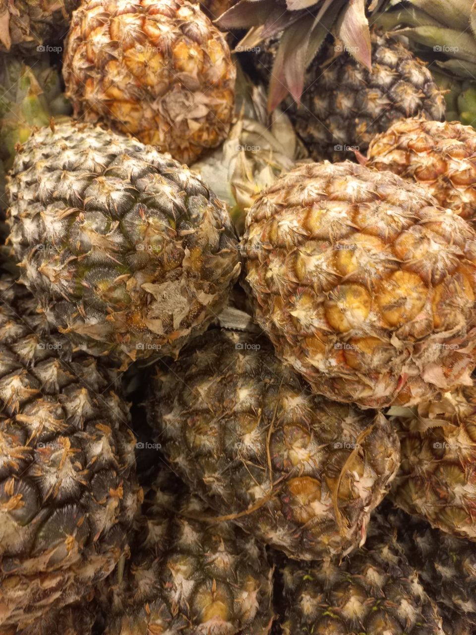 O abacaxi é uma fruta Tropical rica em nutrientes,  e que pode trazer  vários benefícios  para a saúde,  como o fortalecimento   do nosso sistema  imune