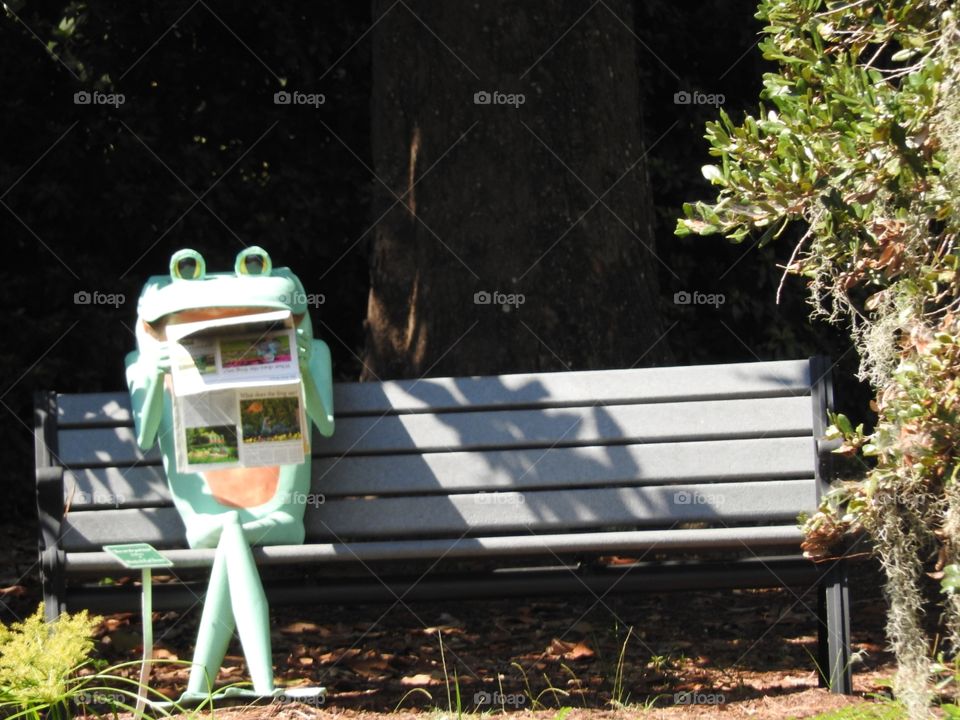 Reading the Morning Paper