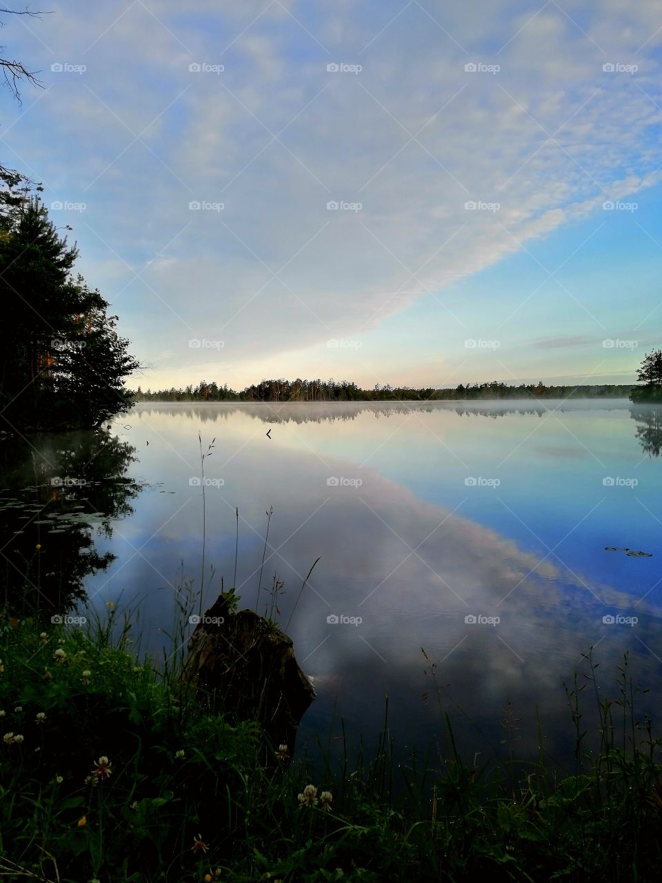 Lake. Spring. Sky. Reflections.