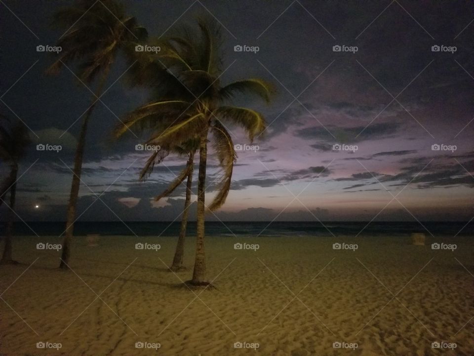 cloudy Morning sunrise on Hollywood beach; South Florida; Palm Trees; Looks like a postcard