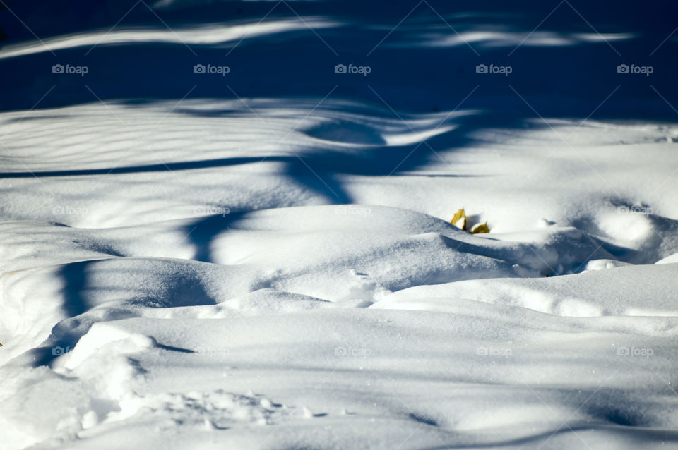 Fresh fallen snow with shadows in sunshine white winter background 