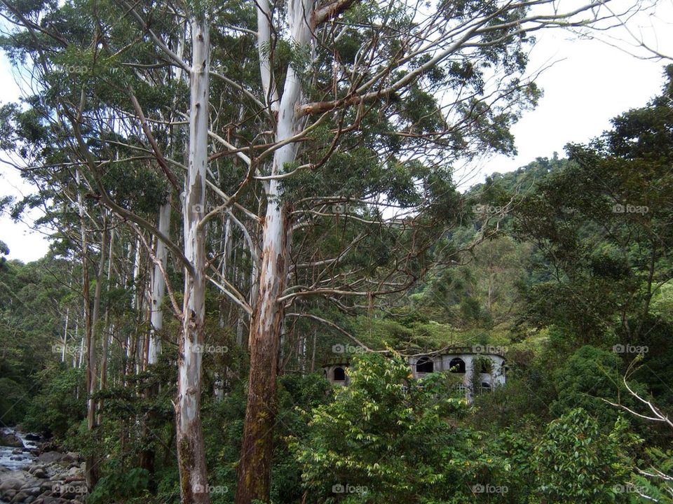 Abandoned House