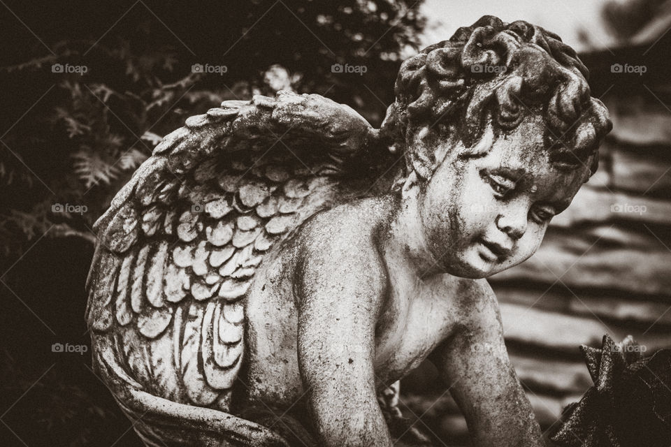 A little angel. Cemetary monument.