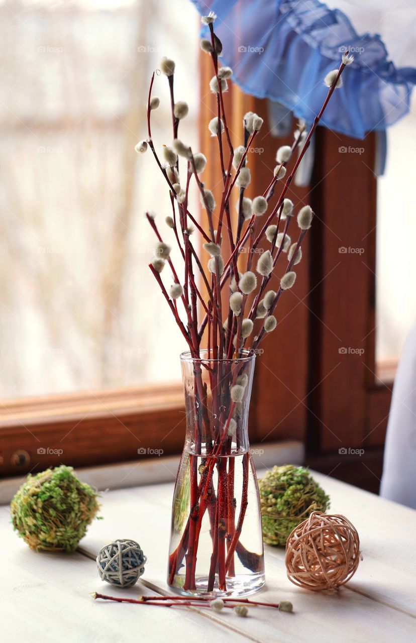 willow branches in a vase