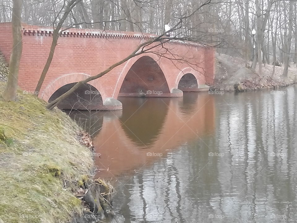 Bridge . I took this photo during walk in naturalistic park. The reflection in water gives it special charm. 