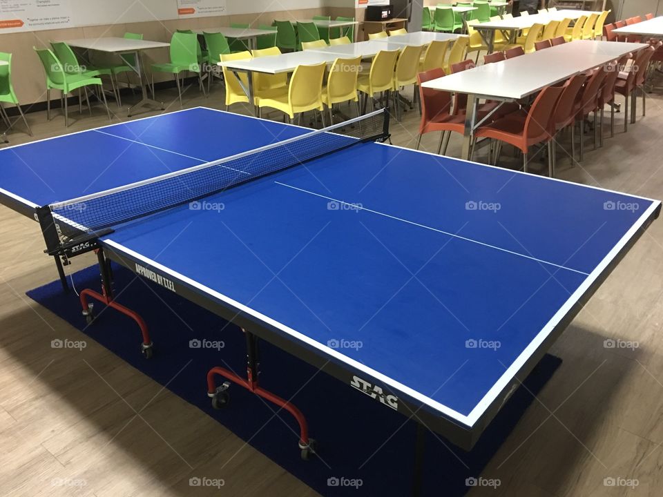 Ping pong table 