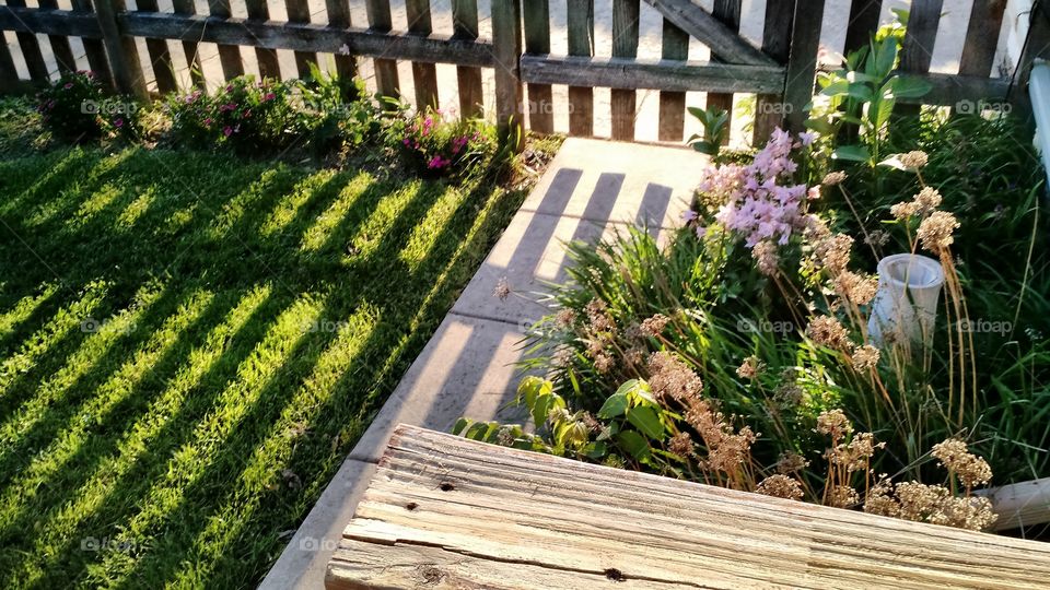 garden gate shadows