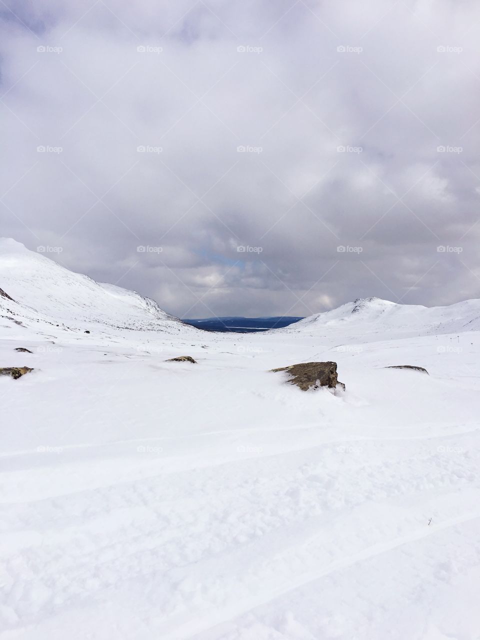 Winter in the mountain 