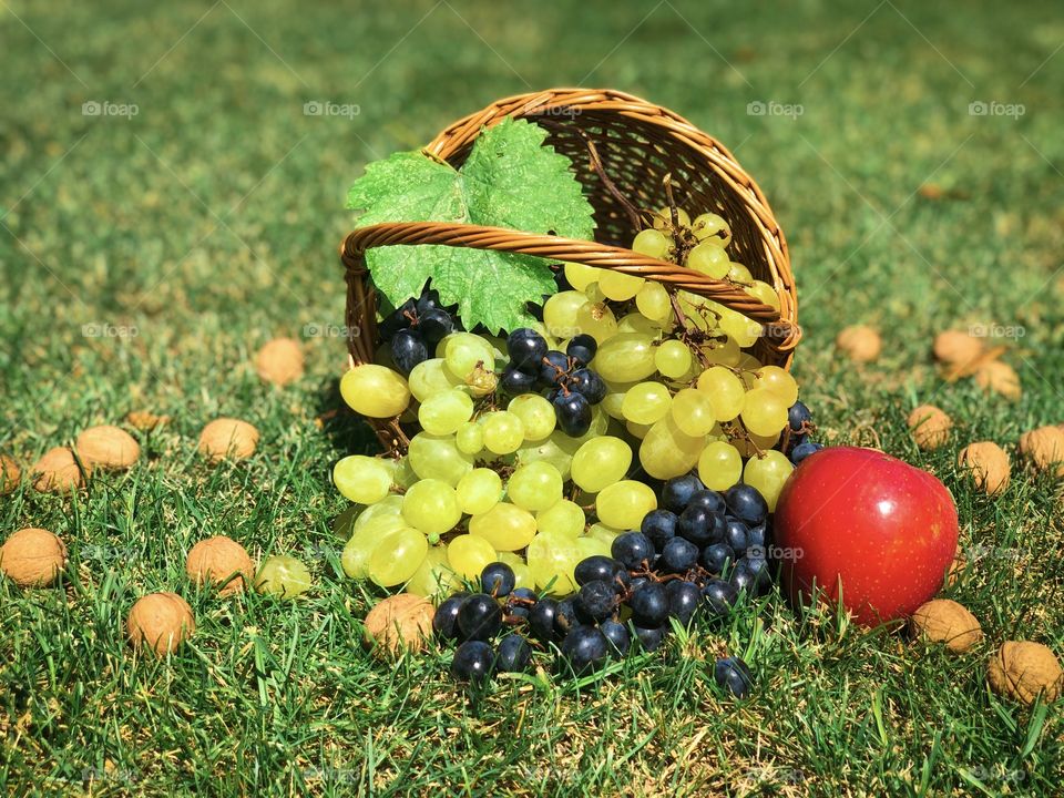 Autumn still life