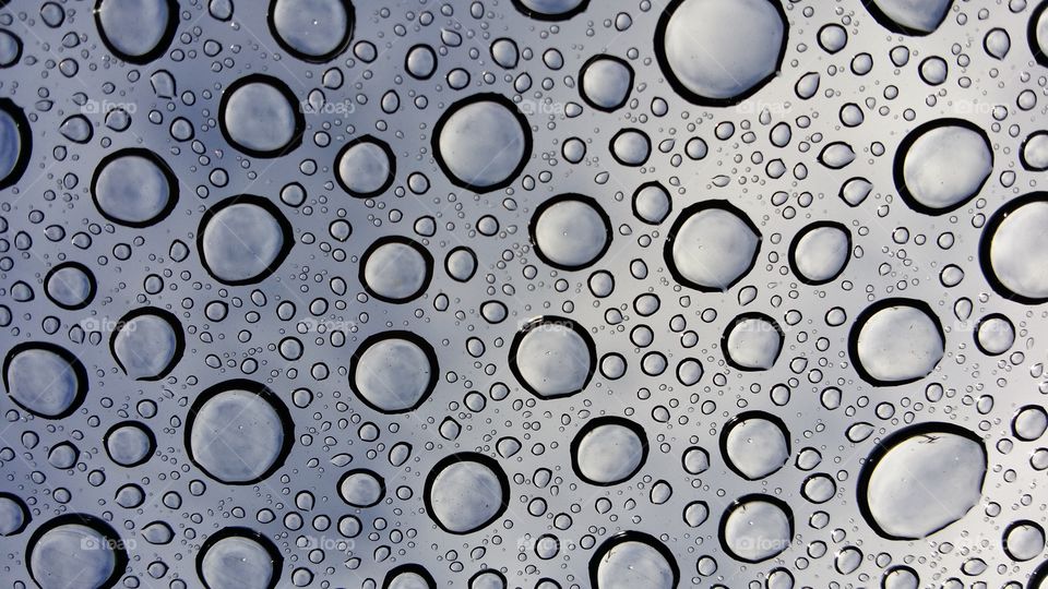 Full frame of water drops on glass