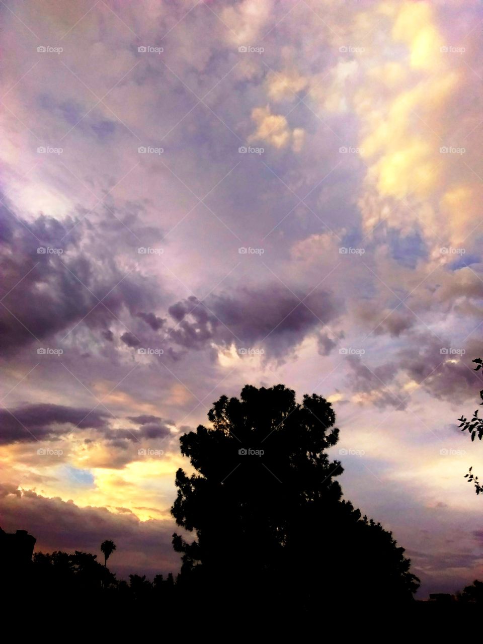 Arizona sunset storm