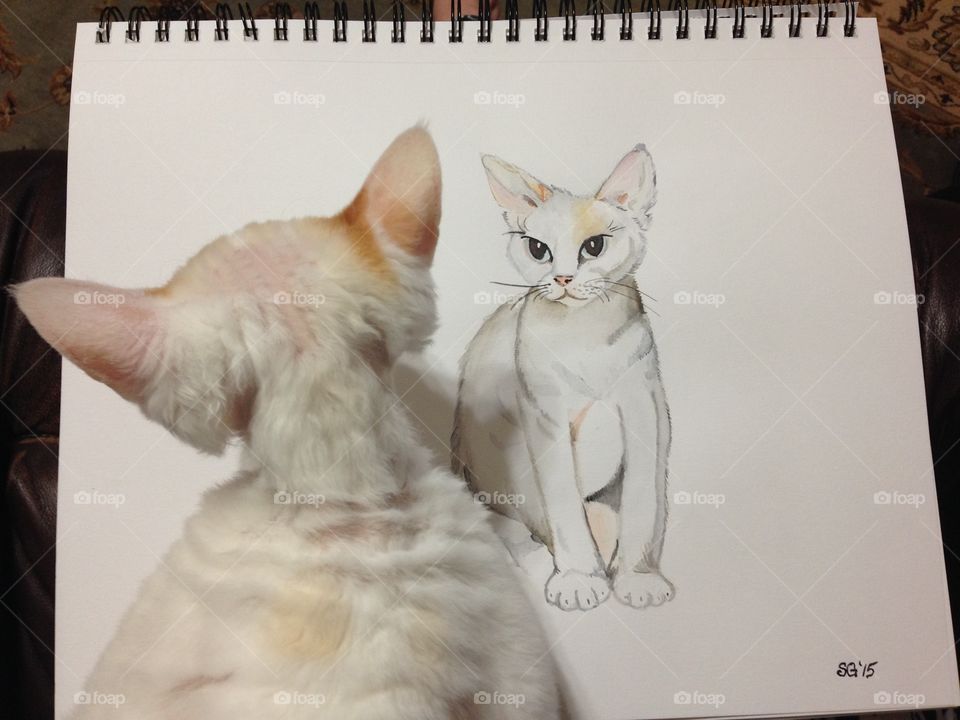 Portrait and model. Taken with the iPhone 5 - watercolor of cat, with model sitting on top. Must be her approval. Watercolor done by photographer. 