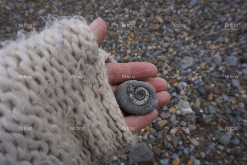 Look what I found ! Fossil on the beach at Redcar .. excuse my tatty glove 😂