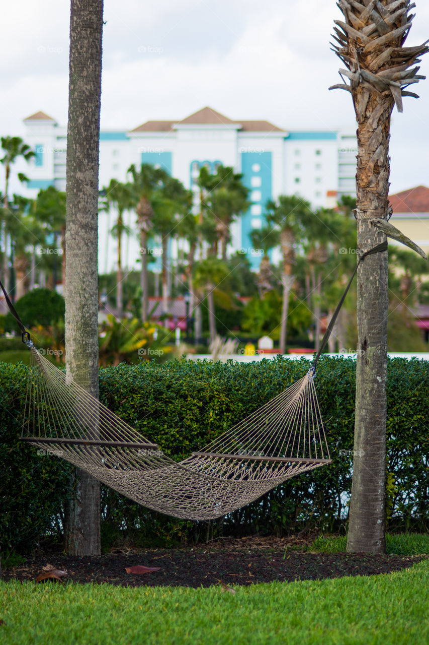 Hammock Time