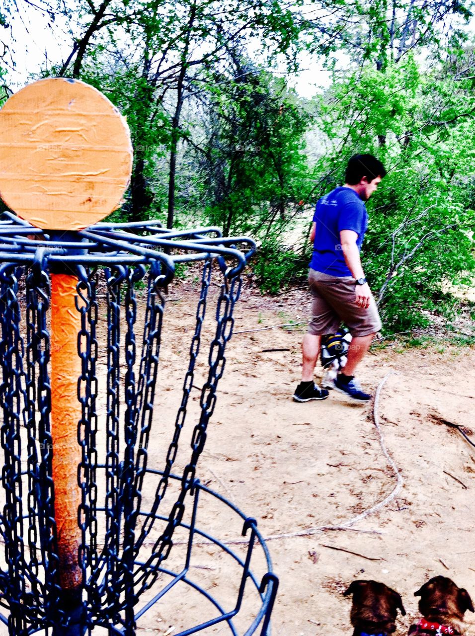 Disc golf in the park