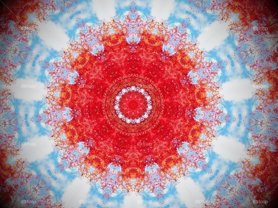 A Kaleidoscope  of Autumn with colorful leaves