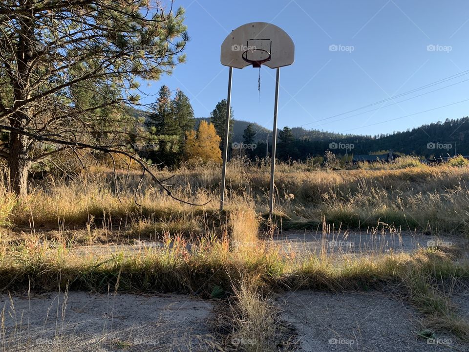 Abandoned Basketball Hoop