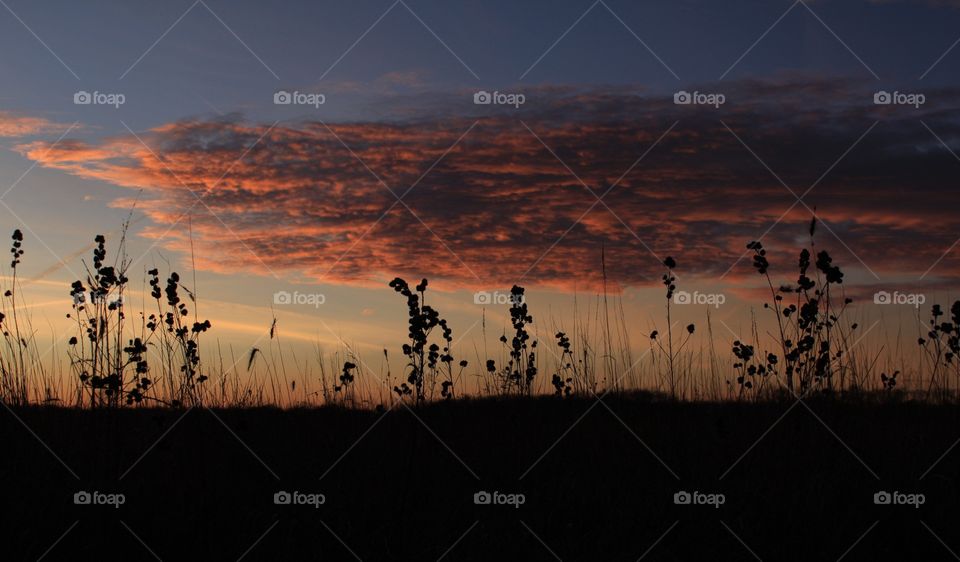 Sunset cloud by field 