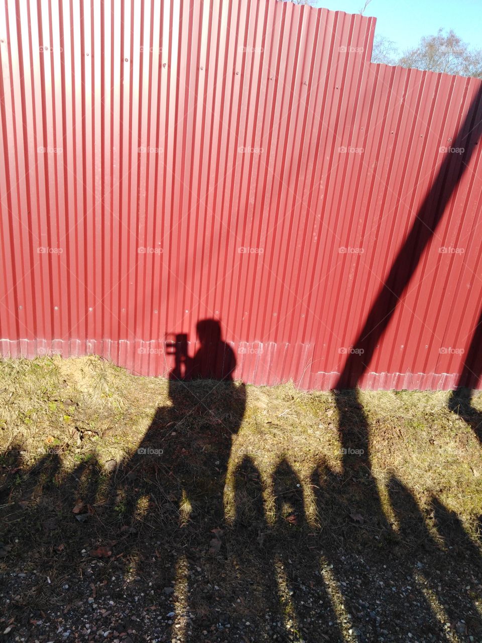 Я и моя тень