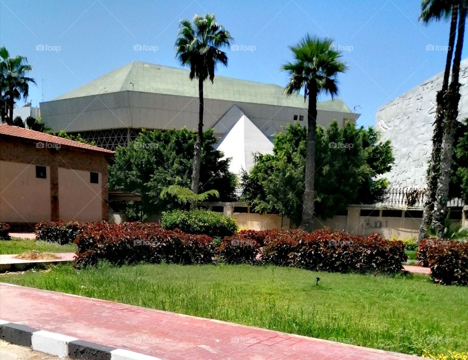 A beautiful, harmoniously colored garden with blue skies, multicolored trees, and some buildings