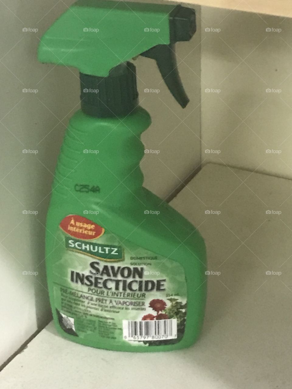 Savon insecticide 