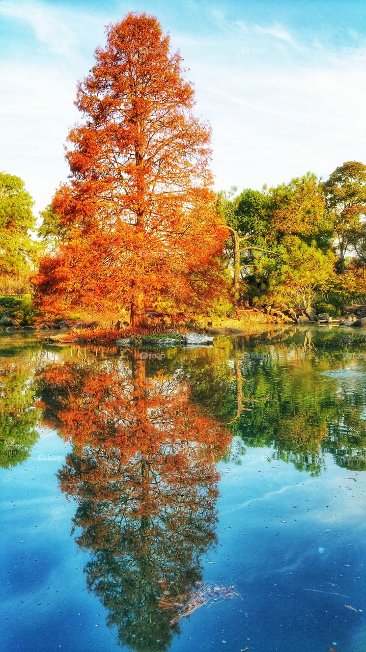 Trees in vibrant autumn colors, with equally pleasant reflections on the still lake.