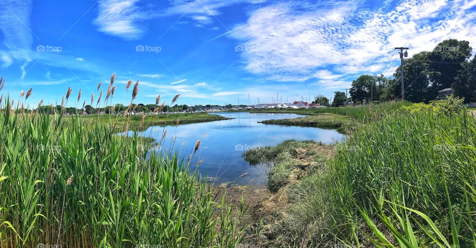 More of the marina and Milford Harbour 