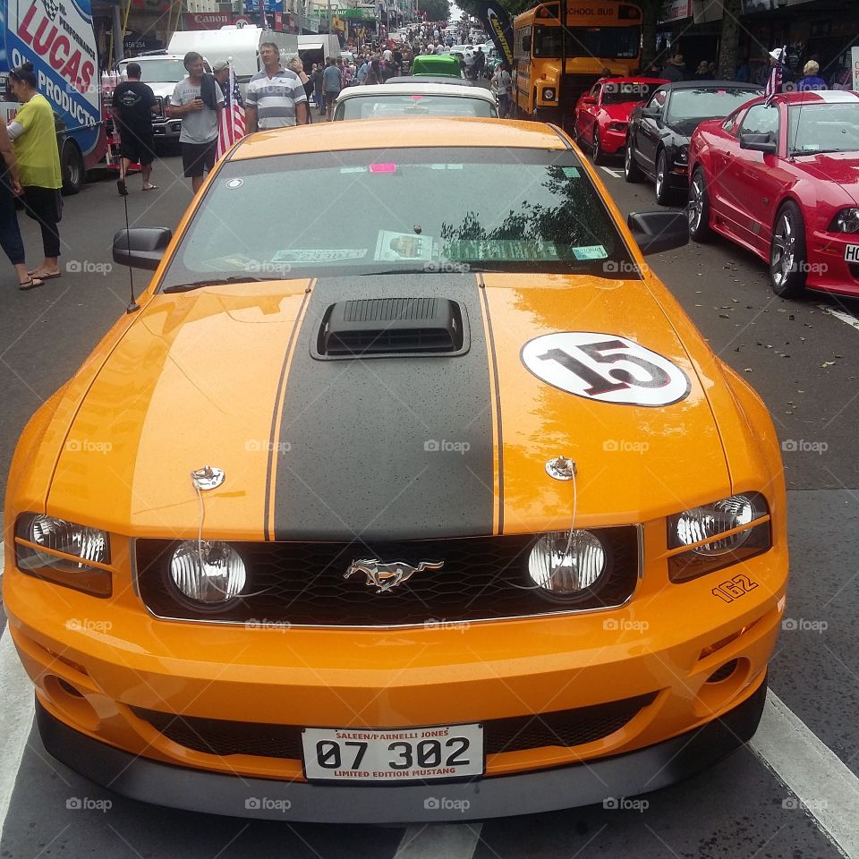 mustang