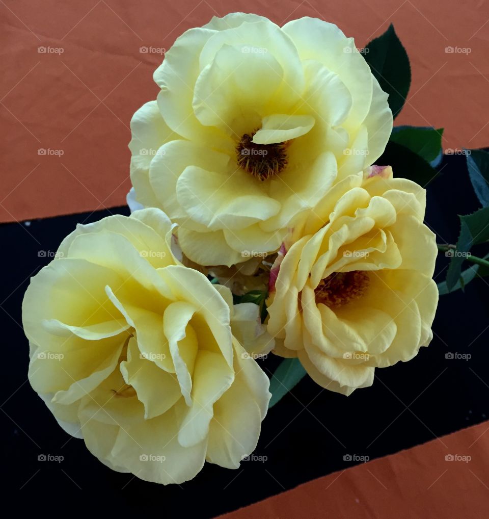 Some more flowers huh