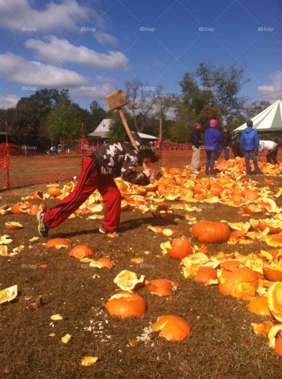 Pumpkin Destruction Day