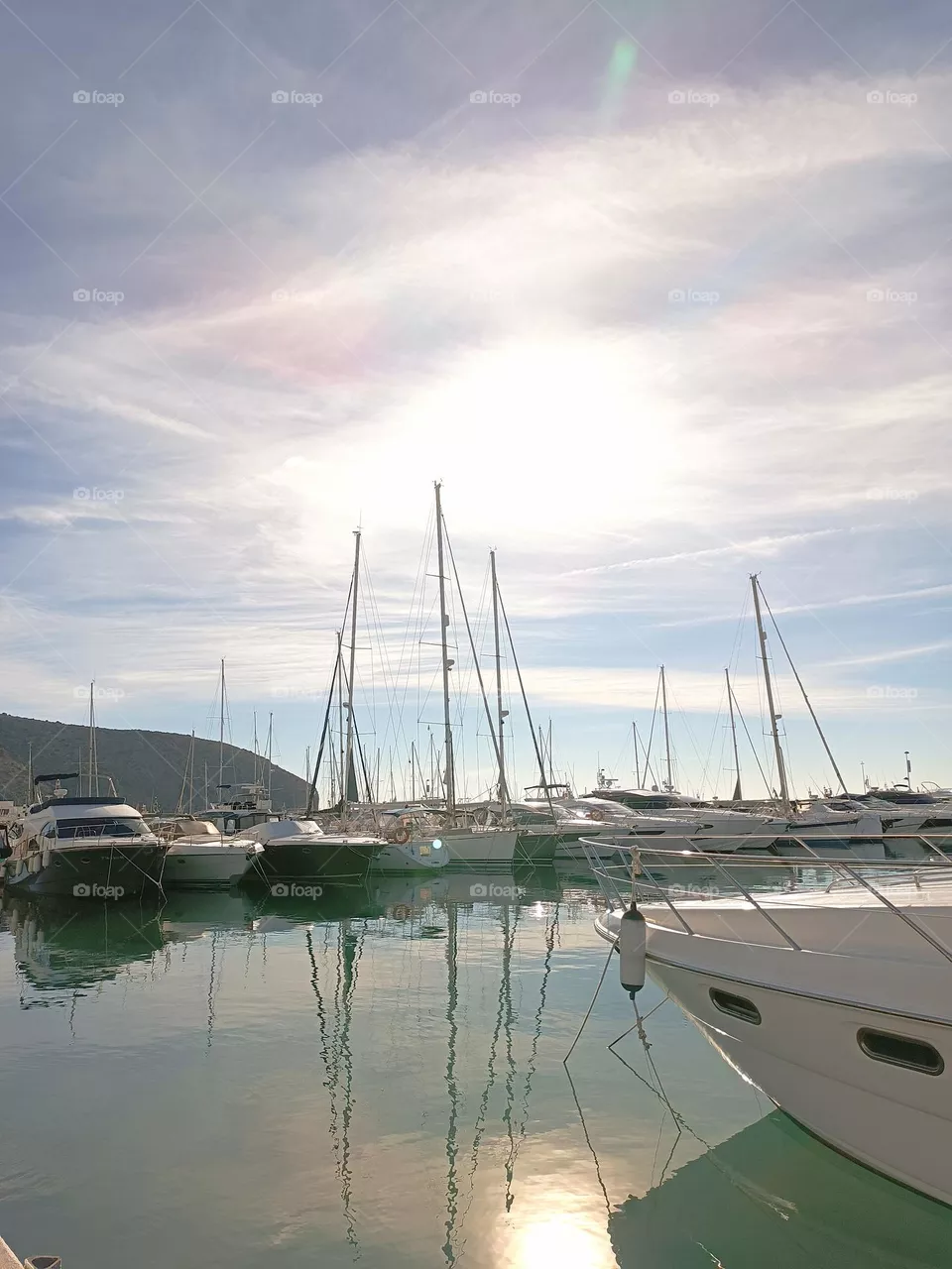 ships in the port