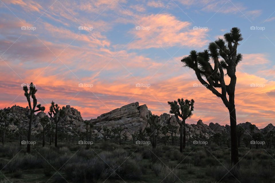 Southwestern Sunrise