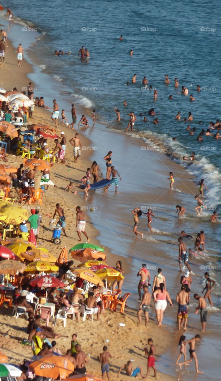 beach in Salvador de bahia