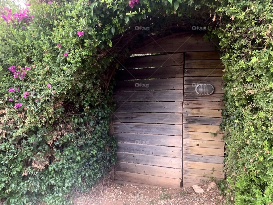 Hidden house gate cover with plants