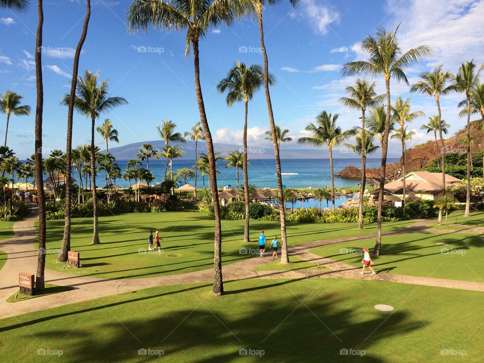 great view. Maui hawaii