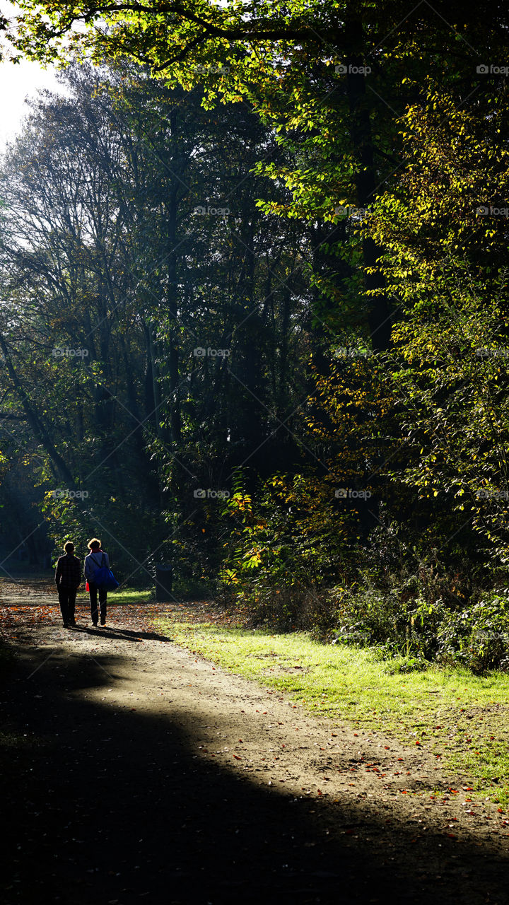 Morning in a park in Antwerp