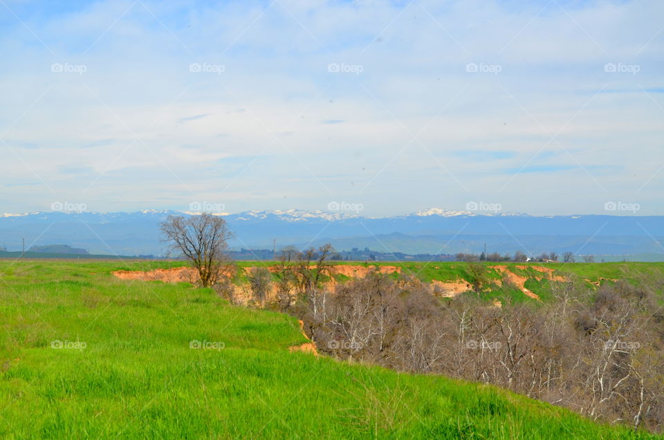 Countryside