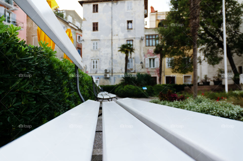 Close-up view of a beautiful green small garden with palms trees through a white bench.