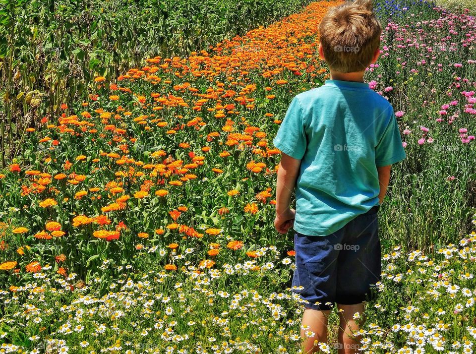 Young Boy in Heaven