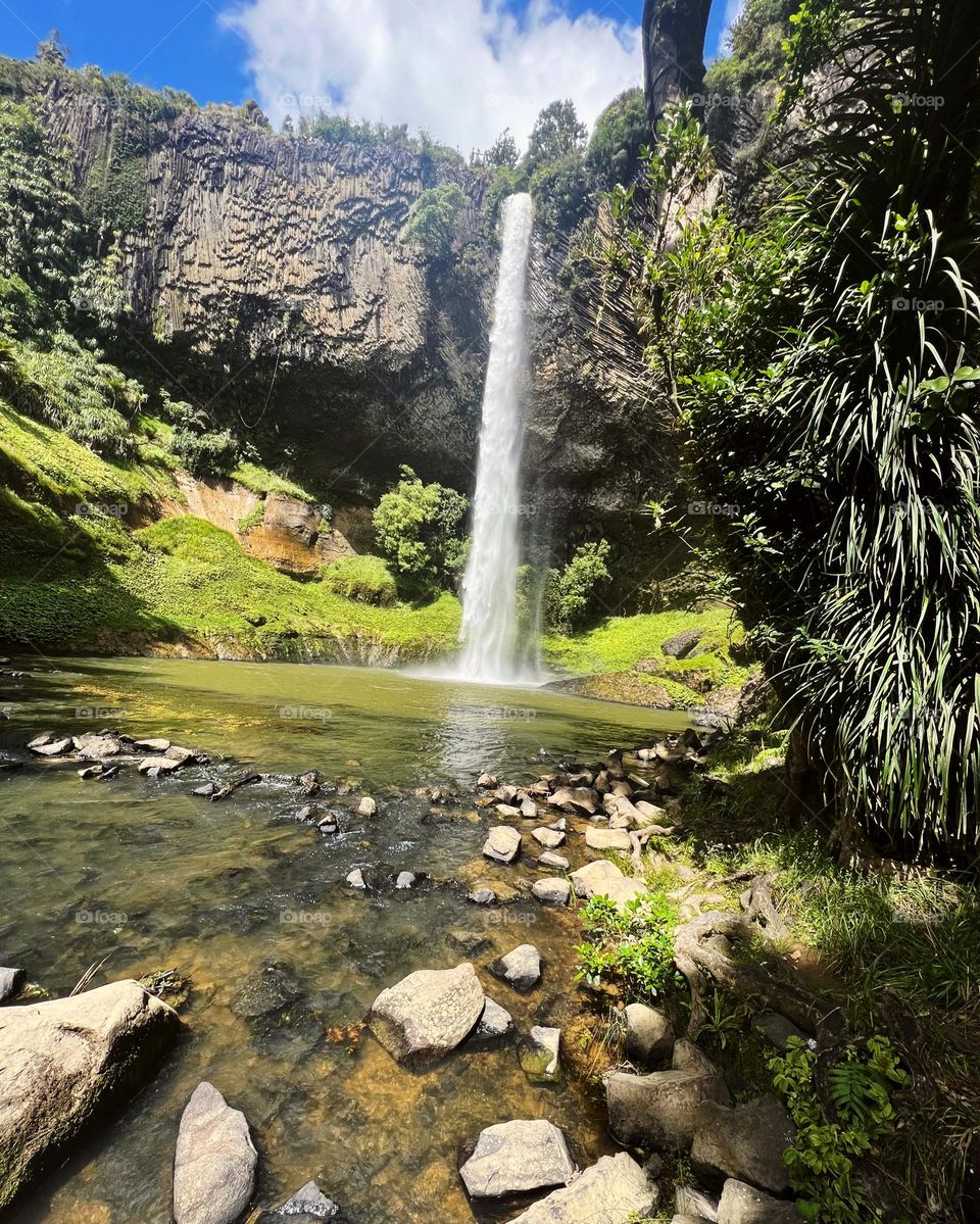 Beautiful waterfall in the green forest.