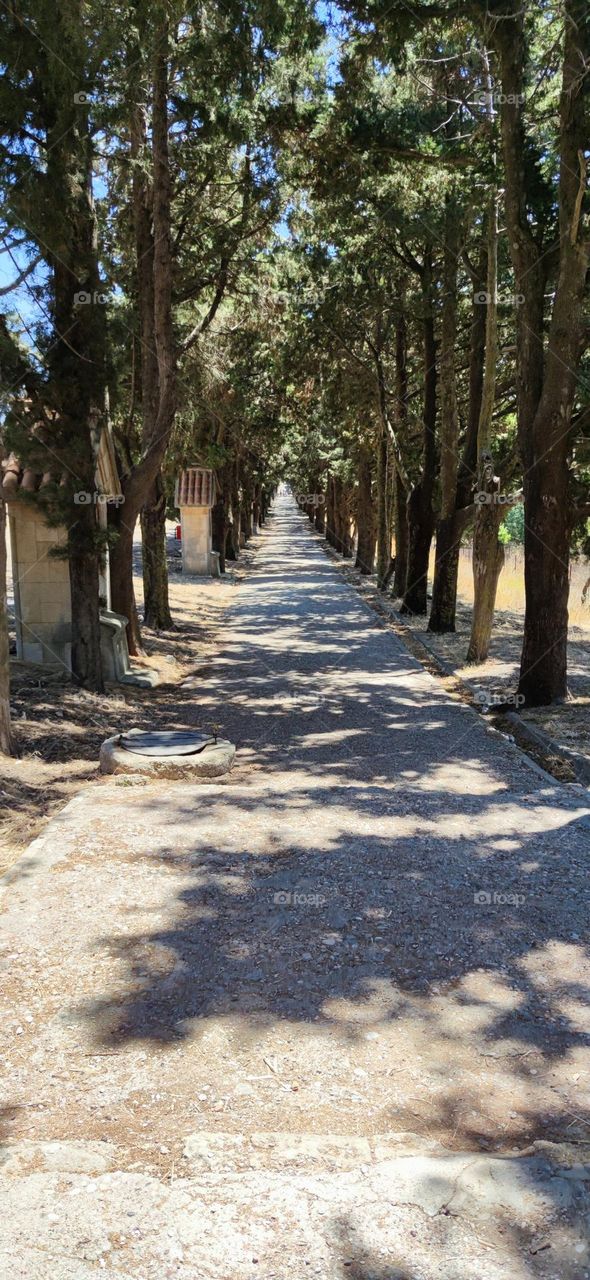 Calvary path with a cypress alley and a path leading to the large Calvary cross on Mount Felirimos in Greece on the island of Rhodes, side view close-up.