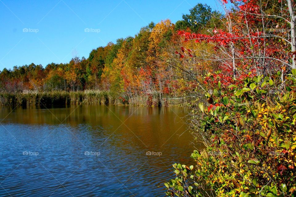 Fall Hiking
