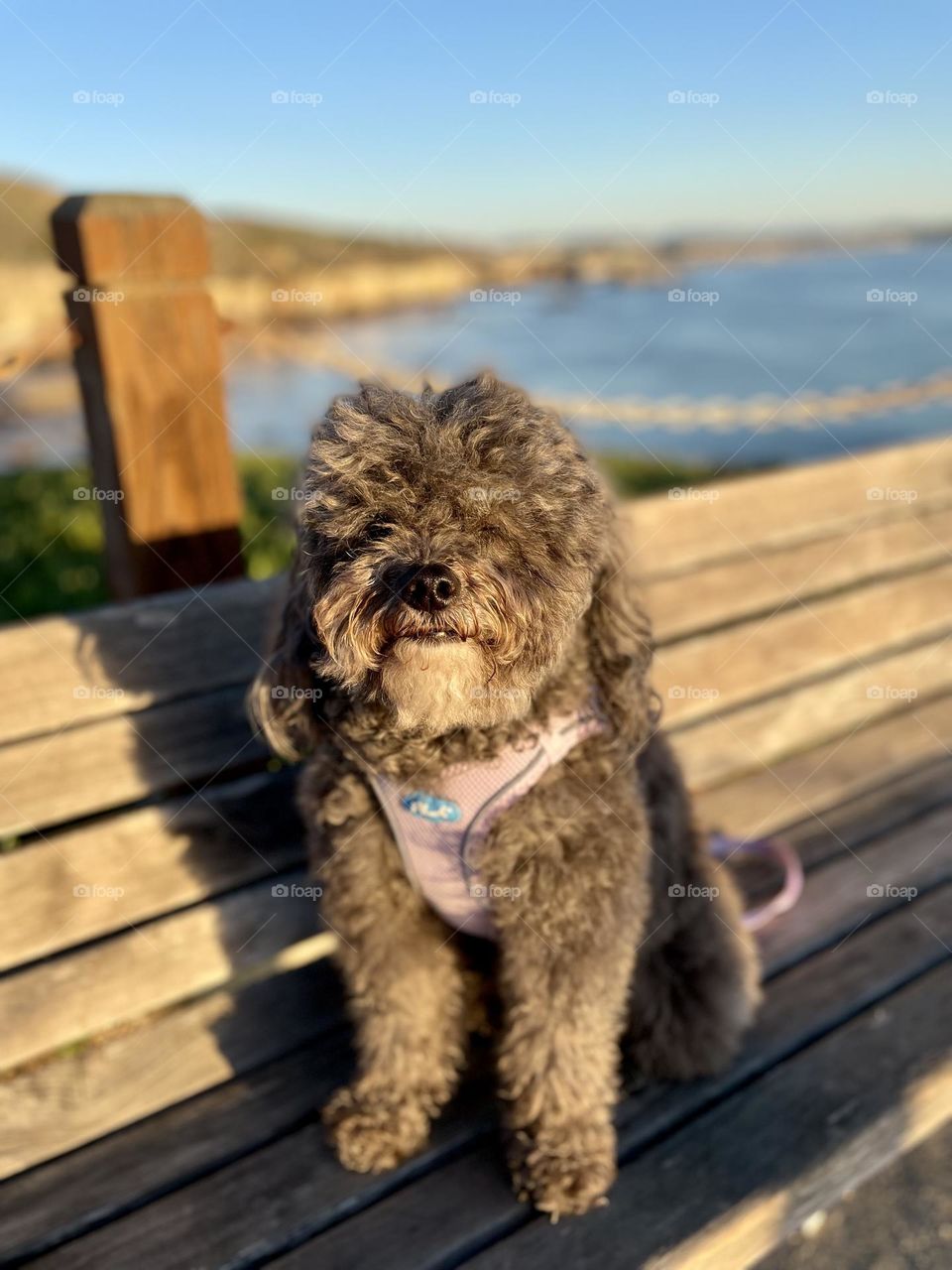 Izzy in Pismo