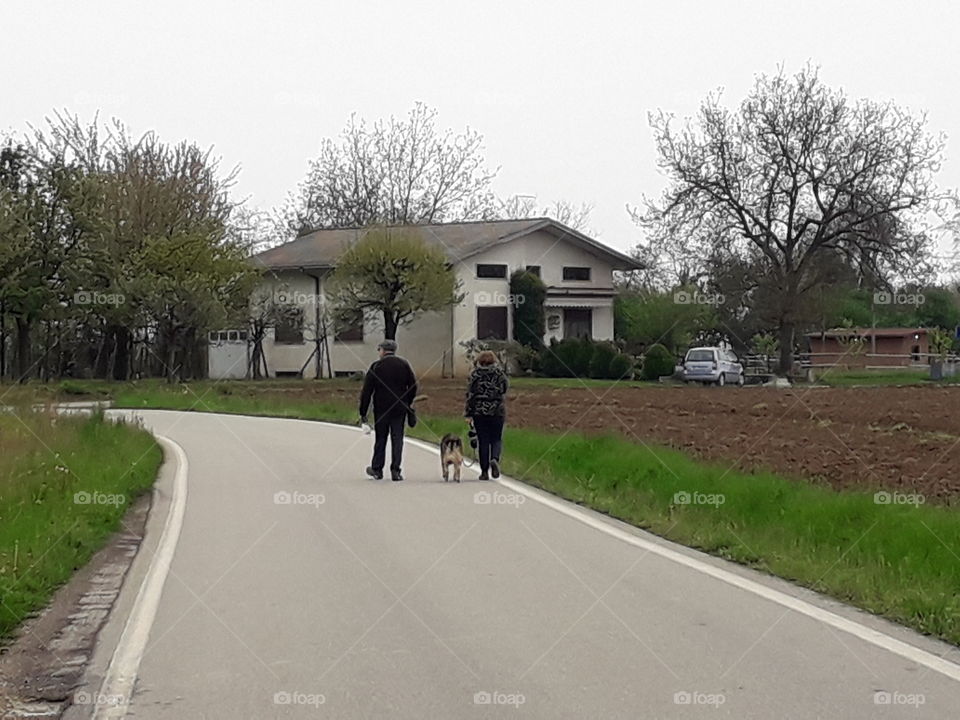 Spring walk with the dog